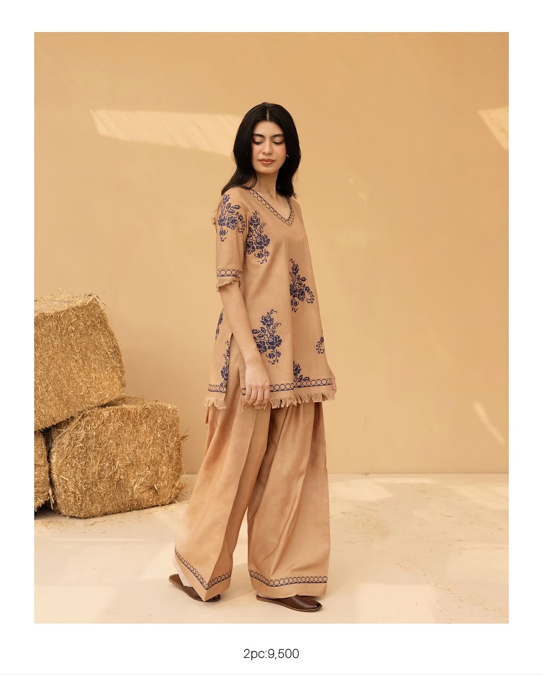 Arub Embroidered Co-ord